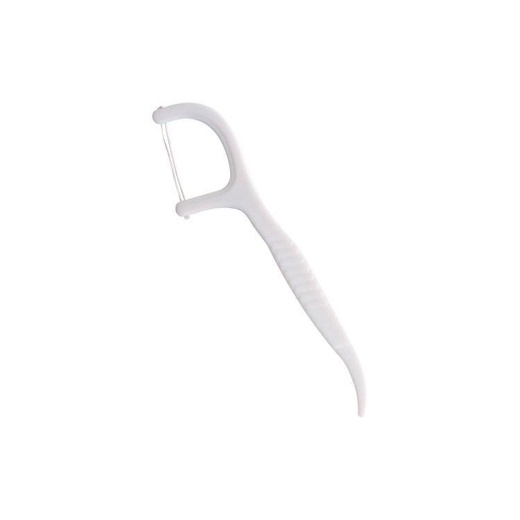dentalfloss pick NBDP-T03