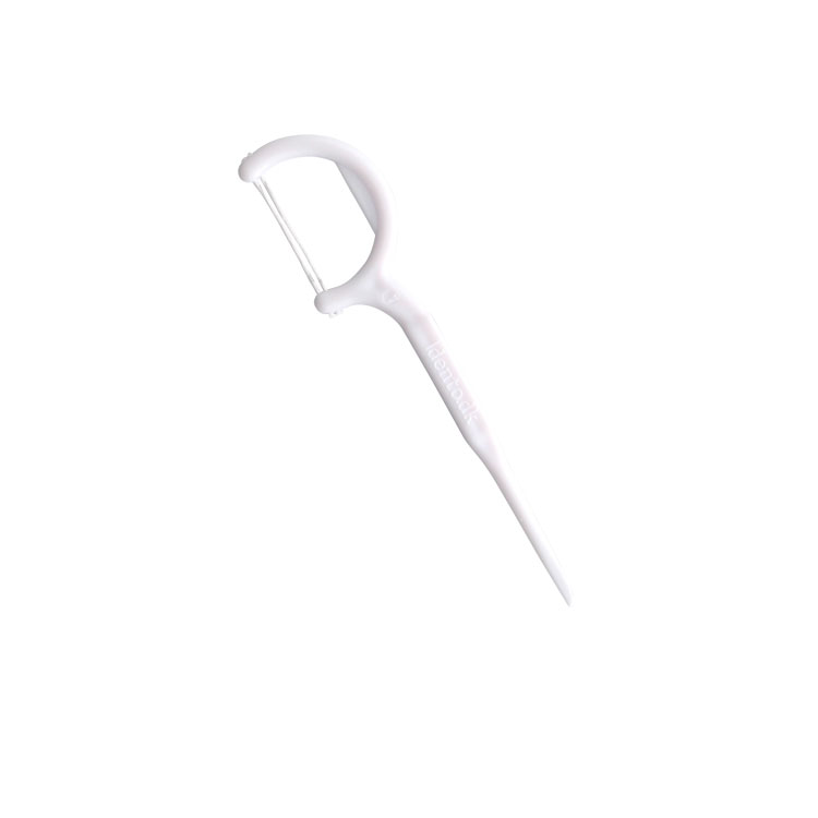 dental floss pick NBDP-T02