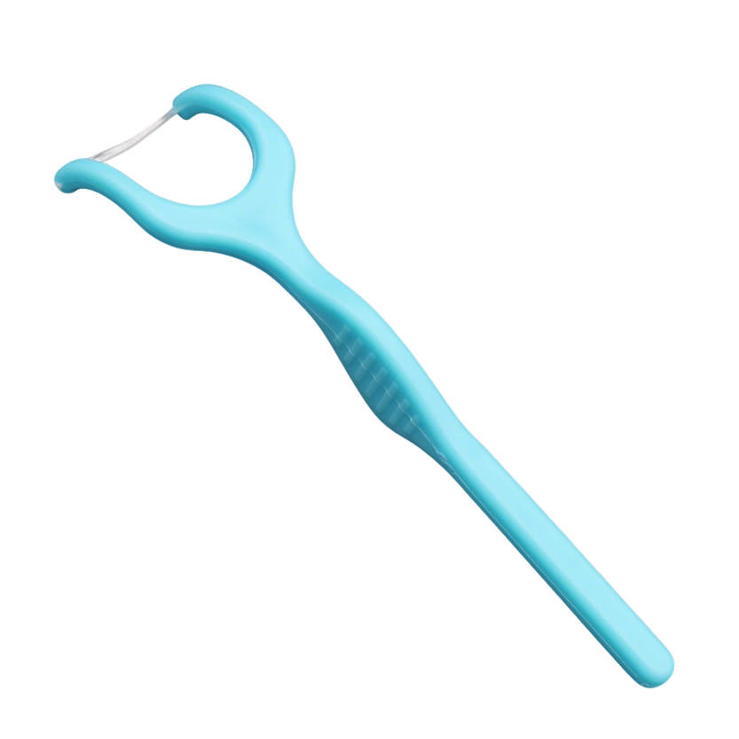 dental floss pick NBDP-Y04