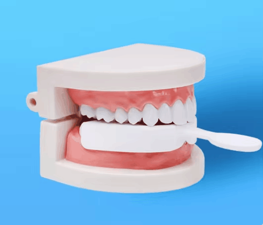 Molar-guards.png
