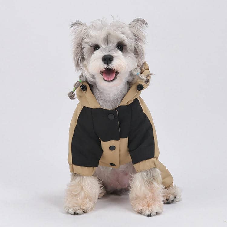 狗狗保暖衣主图9