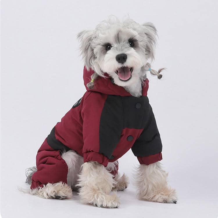 狗狗保暖衣主图8